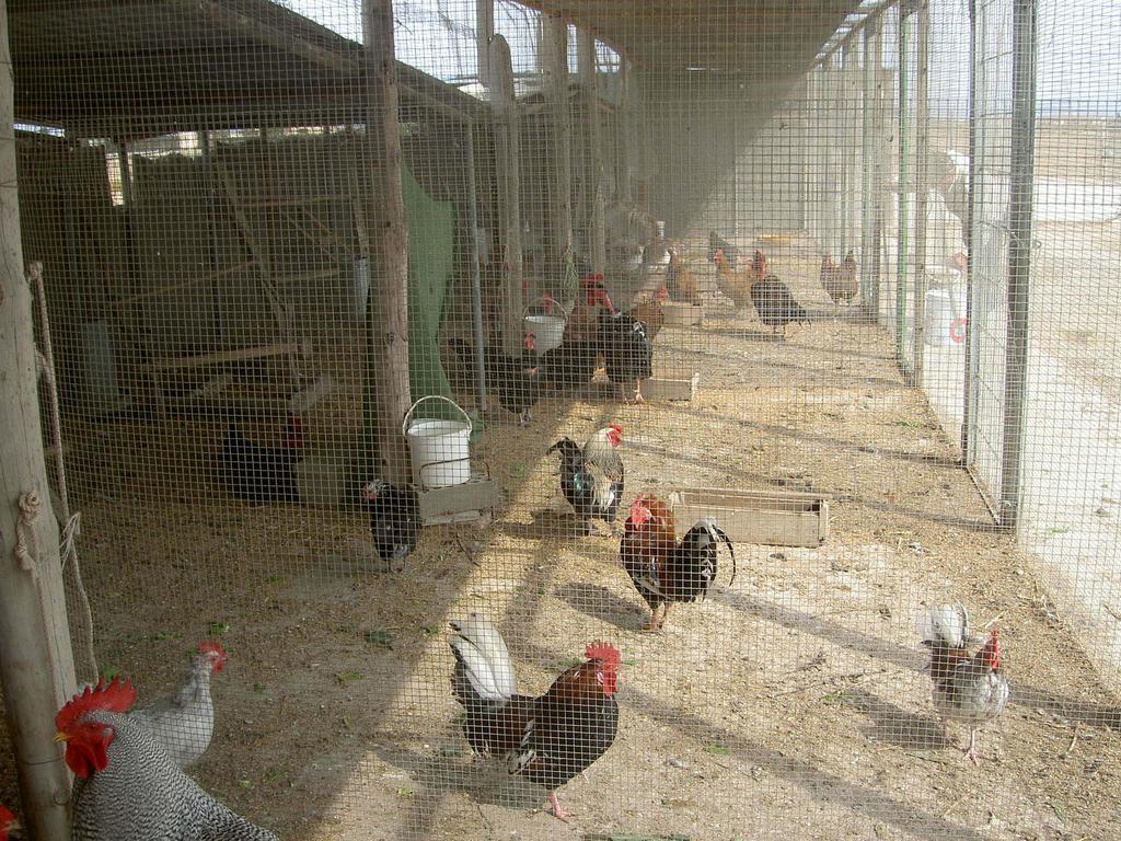 Barraca Gran Βίλα Deltebre Εξωτερικό φωτογραφία